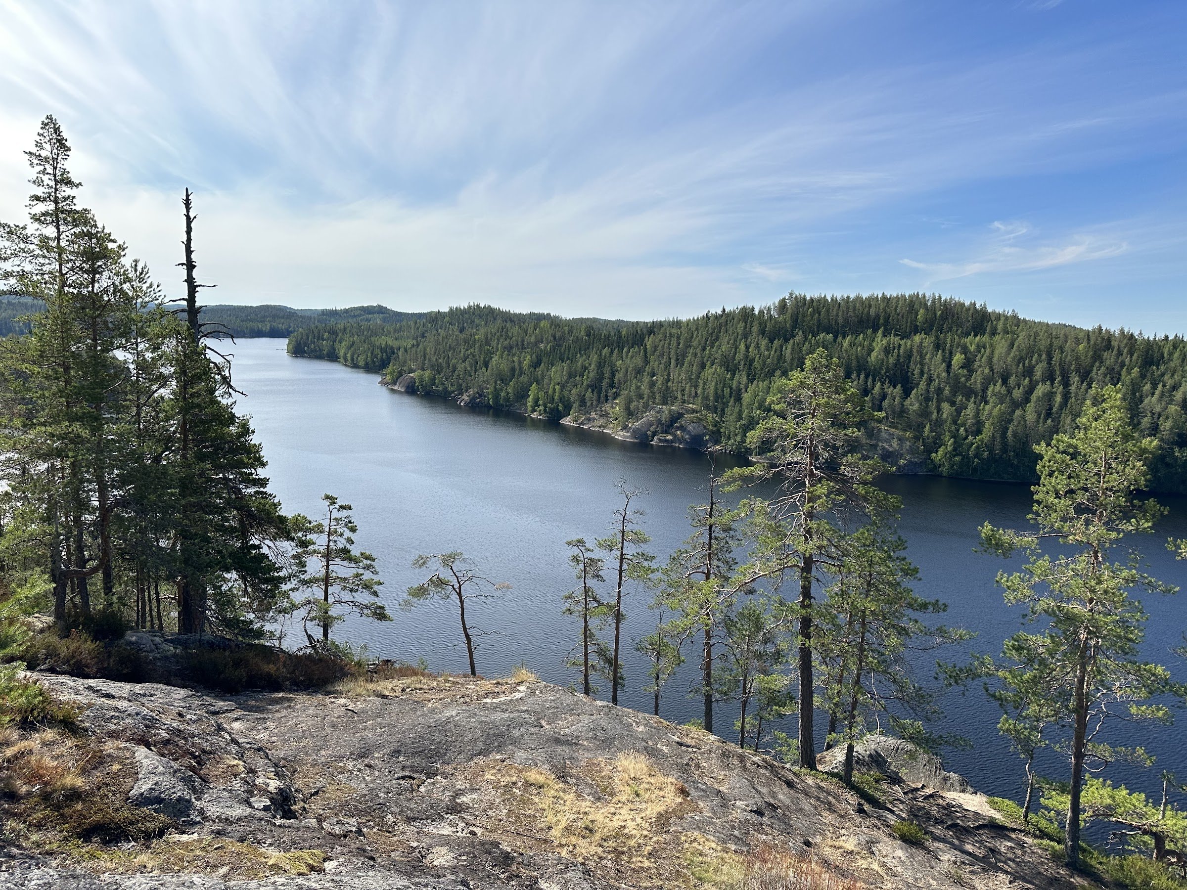Pisamalahti Hill Fort (Pisamalahden linnavuori)
